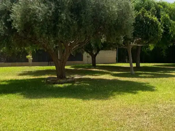 Flat for sale in Pueblo Español - Coveta Fumá