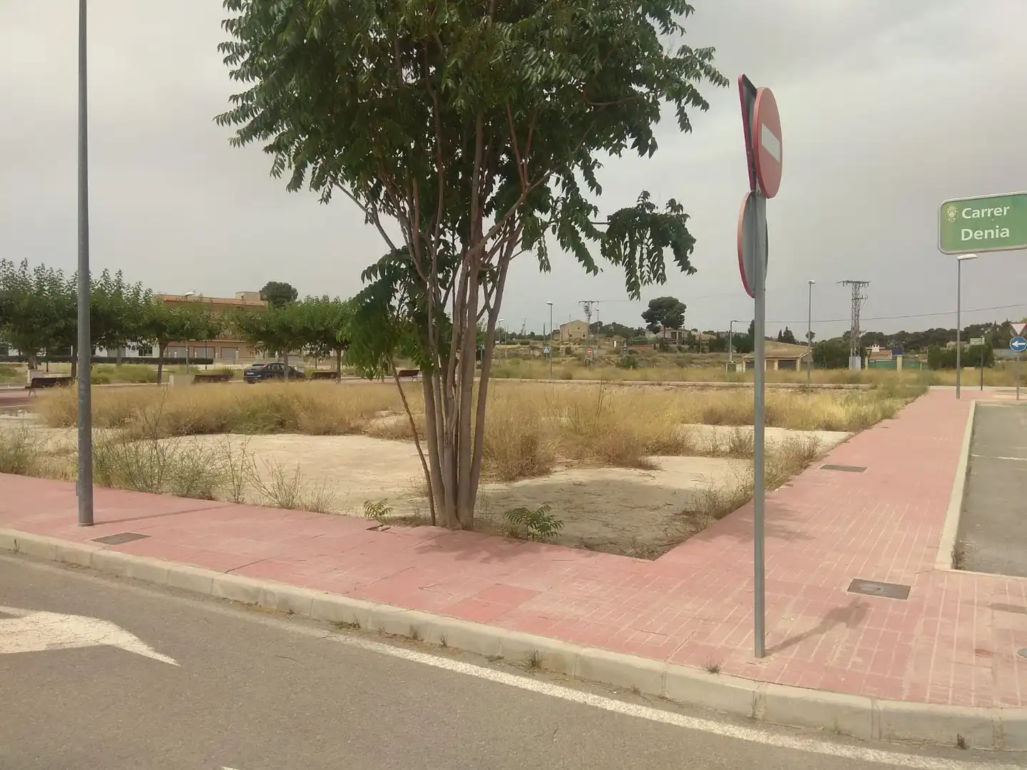 Terreny rústic en venda a CL EL CAMPELLO, imagen 10