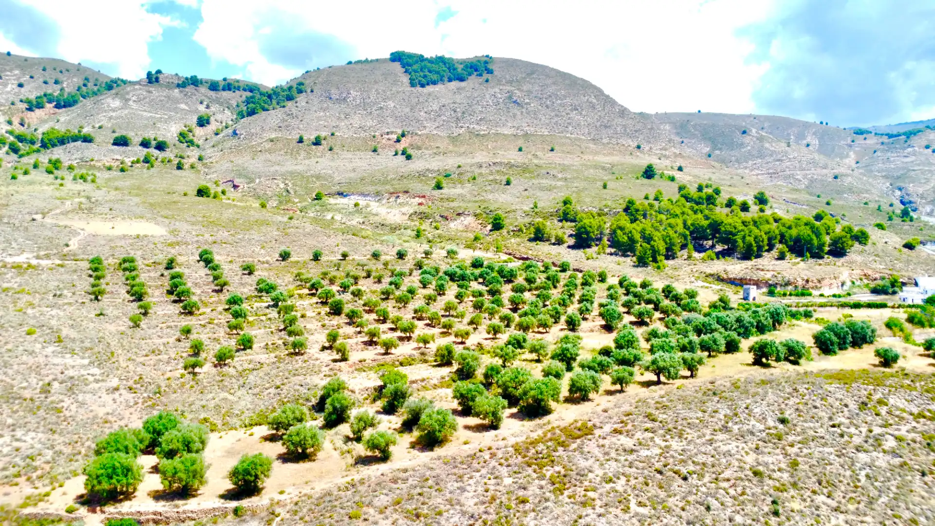 Houses for sale in Laujar de Andarax  with Air Conditioner, Private garden and Terrace
