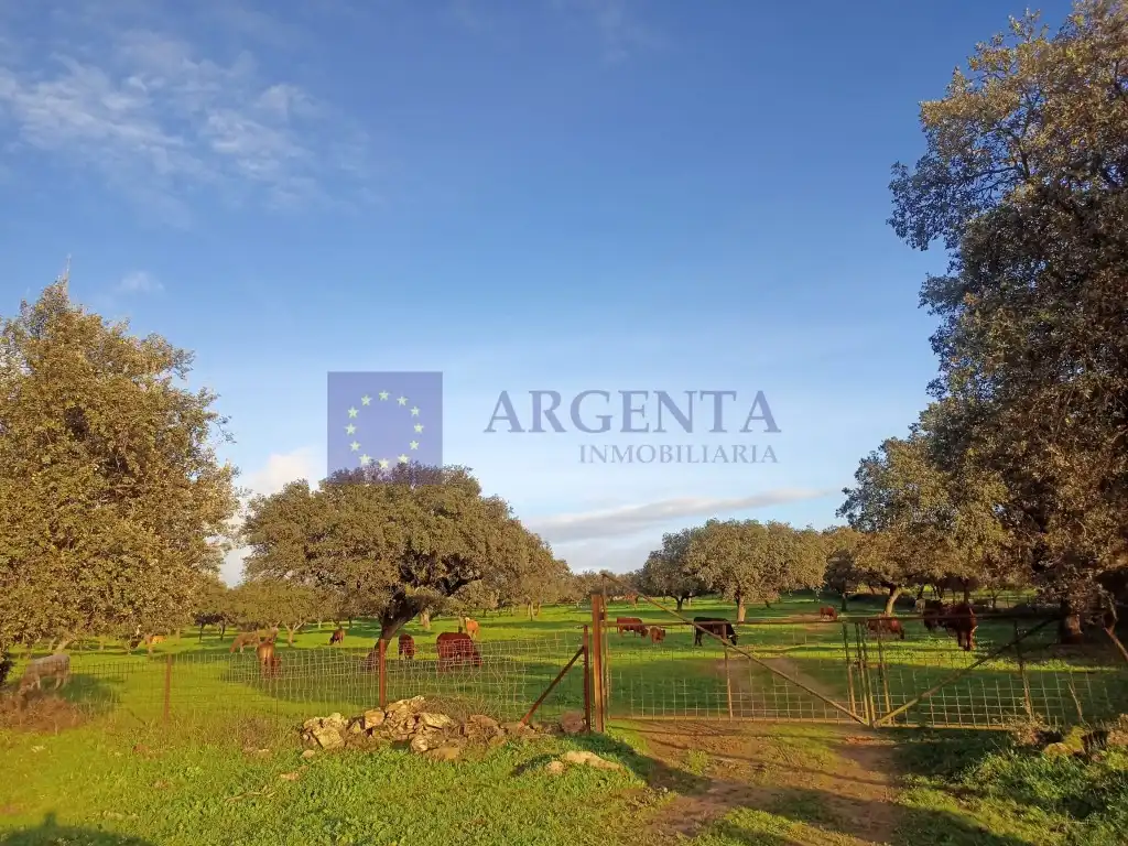 Casa o xalet en venda a Oeste