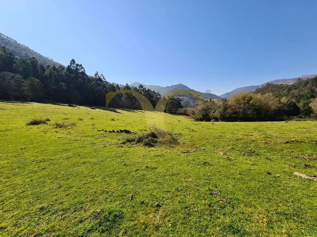 Casa o xalet en venda en Villayón amb Jardí privat