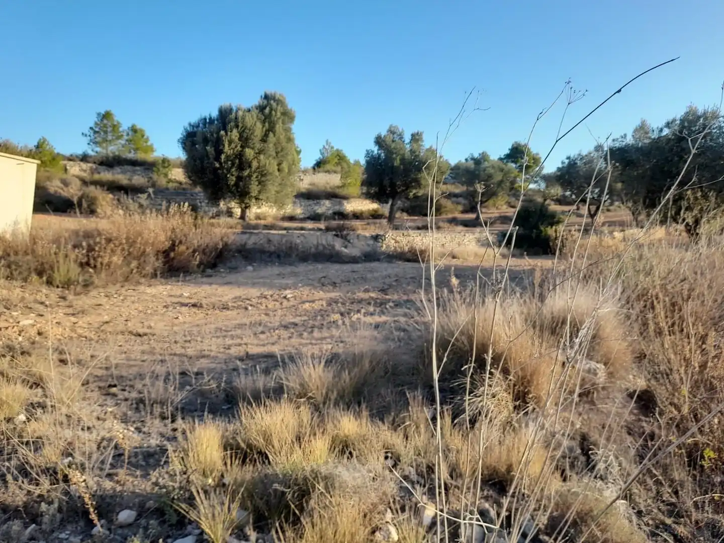 Terreno rústico en venta en Corbera d'Ebre, imagen 16