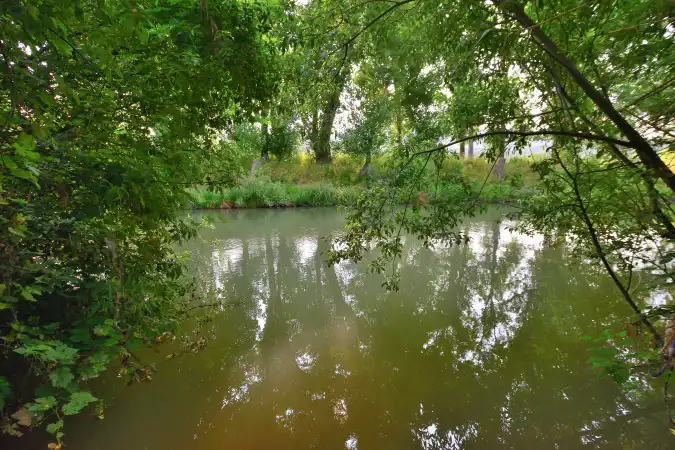 Garten von Grundstücke zum Verkauf in Cortes de la Frontera