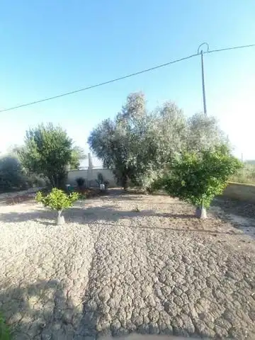 Landhaus zum Verkauf in Callosa de Segura, imagen 2