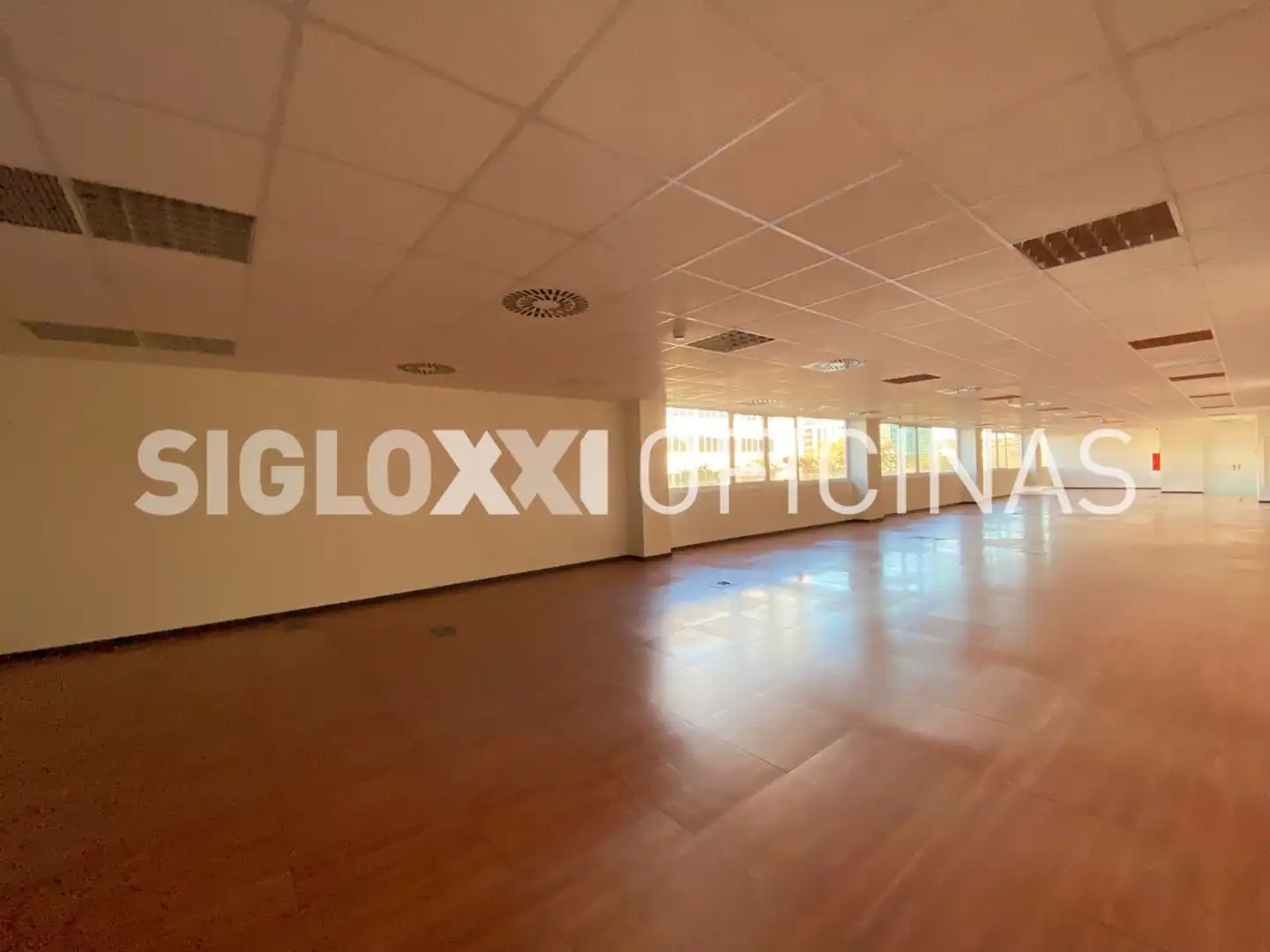 Oficina de lloguer a PLOM, imagen 12