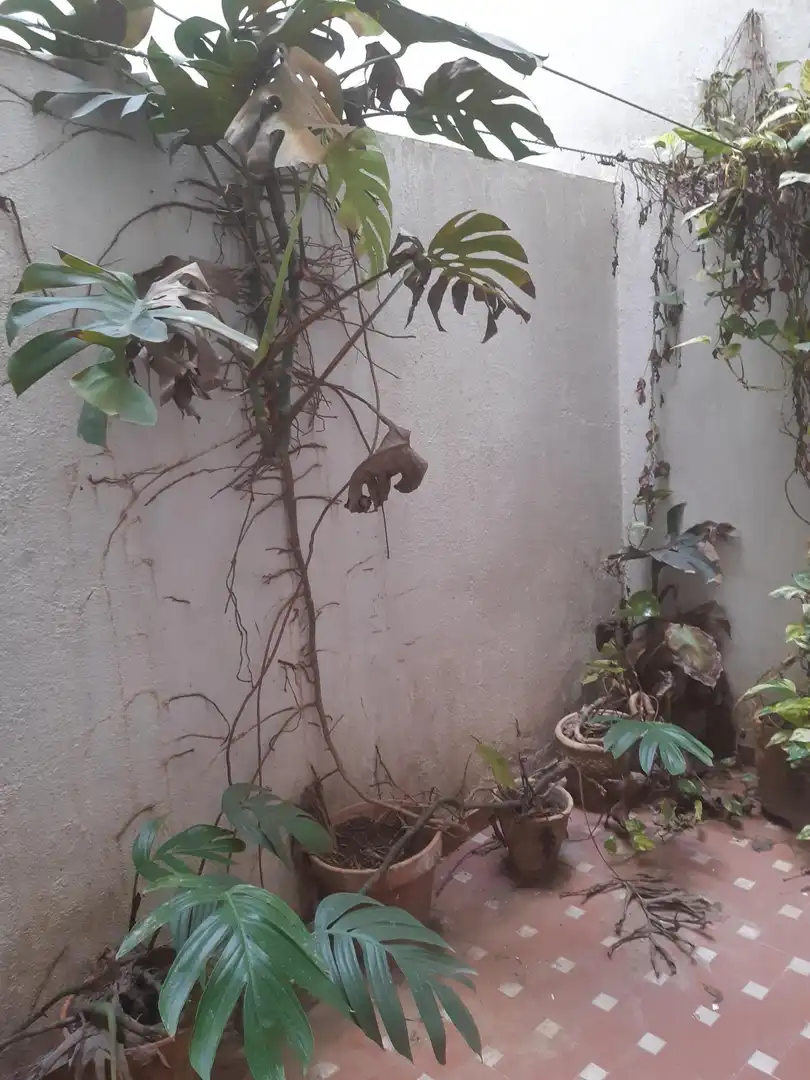 Garden of Flat for sale in Casco Antiguo