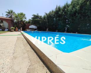 Swimming pool of Residential for sale in Mérida