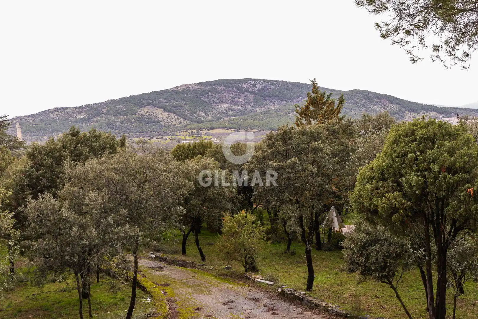 Casa o xalet en venda en Collado Villalba amb Calefacció i Jardí privat