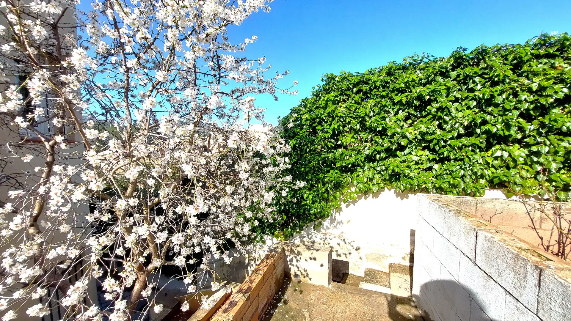 Detached homes for sale in Sant Llorenç Savall
