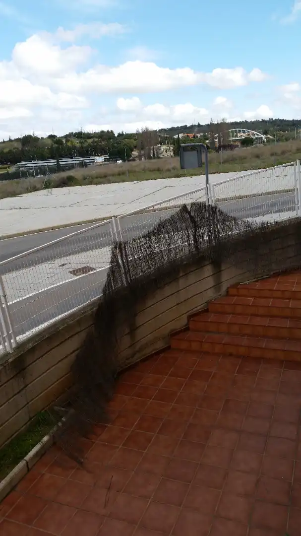Vista exterior de Apartament en venda en Cáceres