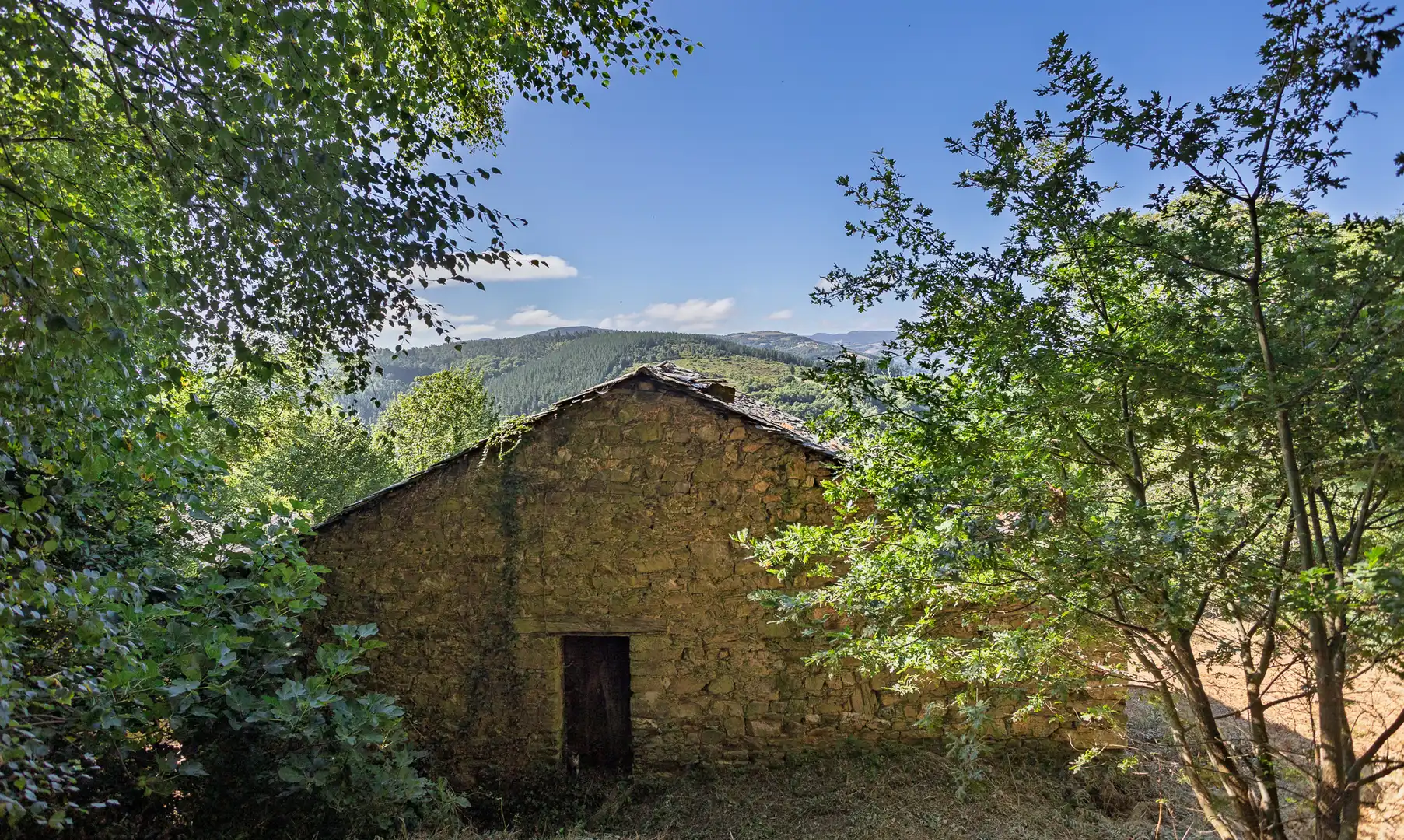 Vista exterior de Finca rústica en venda en Becerreá