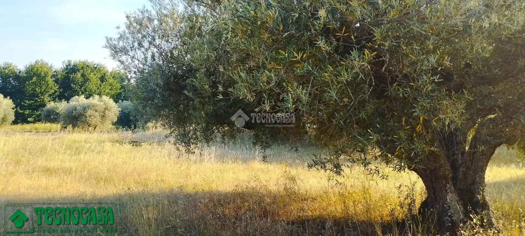 Terreni e lotti in vendita a Méntrida, imagen 5