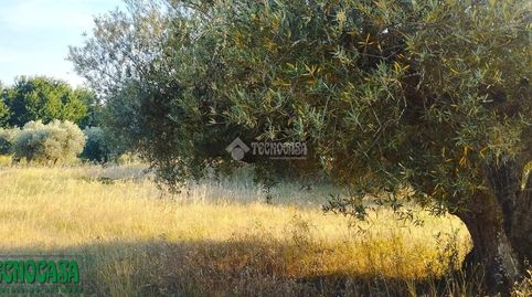 Terrenos en venta en Méntrida, immagine 5
