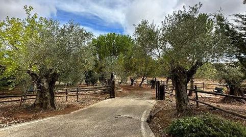 Finca Rúst. en venta en Archidona, 5 dormitorios., imatge 5