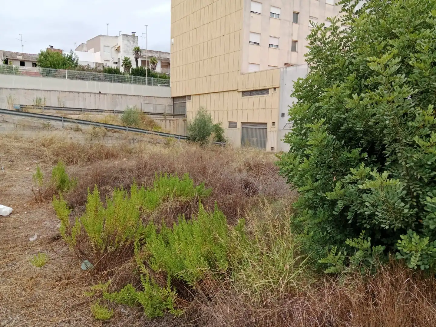 Terreny rústic en venda a Avda. de la Pau, imagen 4