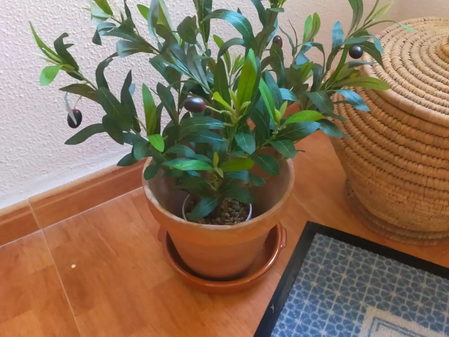 Garden of Flat for rent in Málaga  with Furnished, Washing machine and Microwave