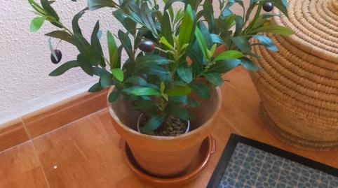 Foto 4 de Piso de alquiler en Los Castillejos - La Trinidad, Málaga Capital