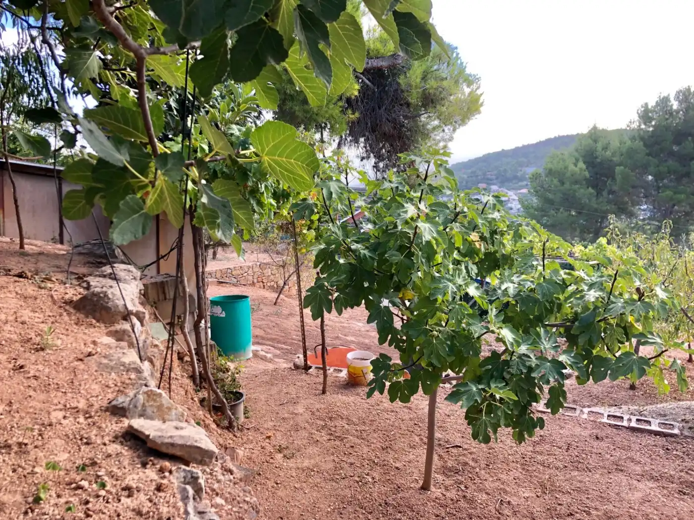 Wohnbaugrundstück zum Verkauf in Corbera de Llobregat, imagen 9