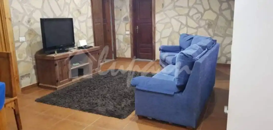 Sala de estar de Finca rústica en venta en Arona