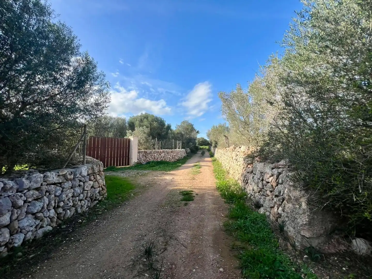 Terrenys i solars en venda a Santanyi, imagen 9