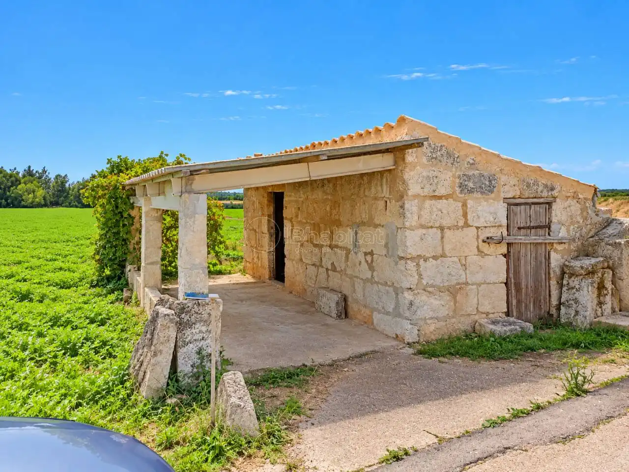 Terrain rustique à vendre à Sa Pobla, imagen 6