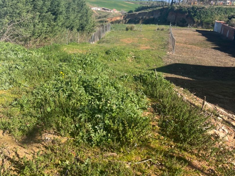 Residential zum Verkauf in La Pueblanueva