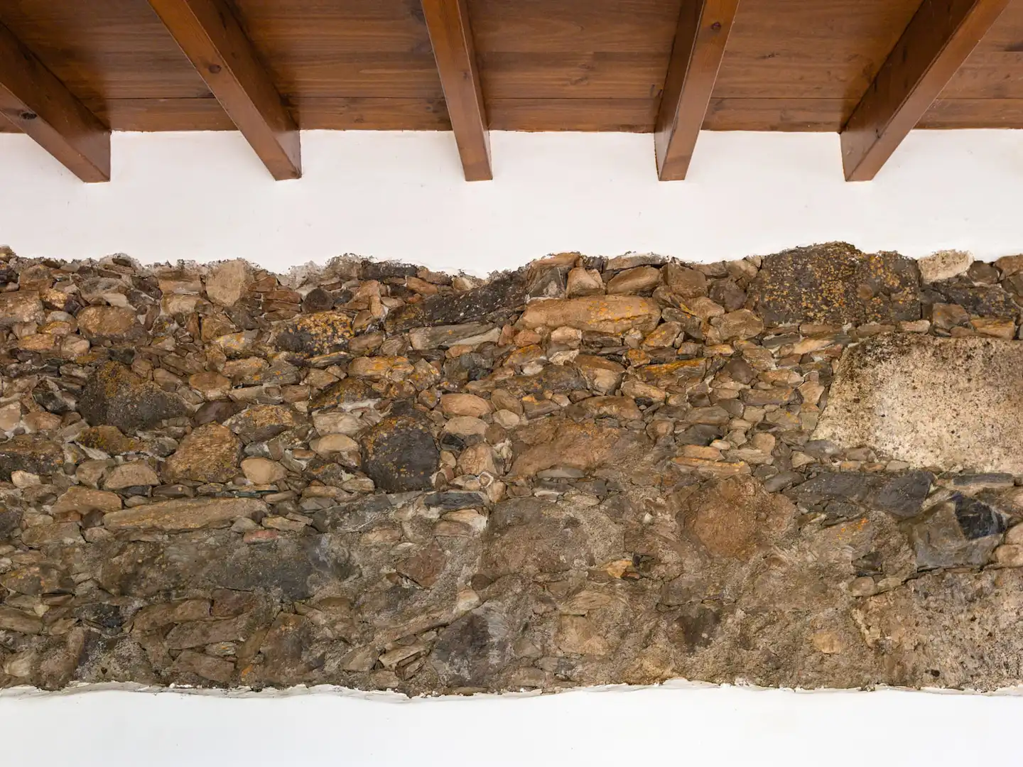 Jardín de Finca rústica en venta en Tegueste con Jardín privado, Terraza y Horno