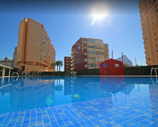 Swimming pool of Flat to rent in Calpe / Calp  with Terrace and Swimming Pool