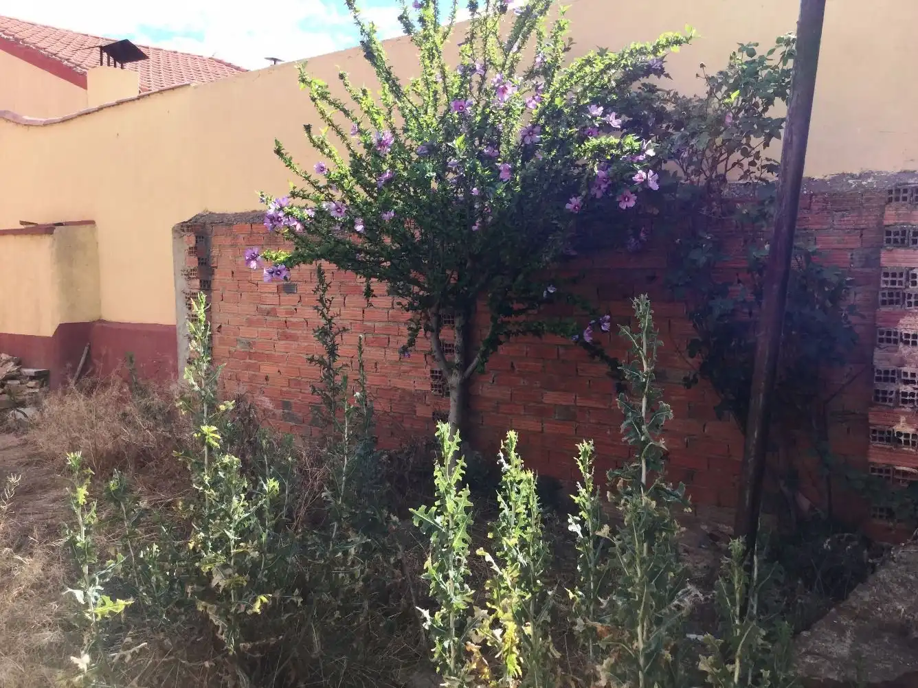 Casa rústica en venda a Santa Cristina de la Polvorosa, imagen 17