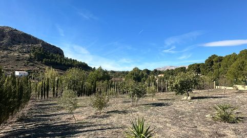 Parcelas rústicas en Vélez Rubio (Almería), imagen 4