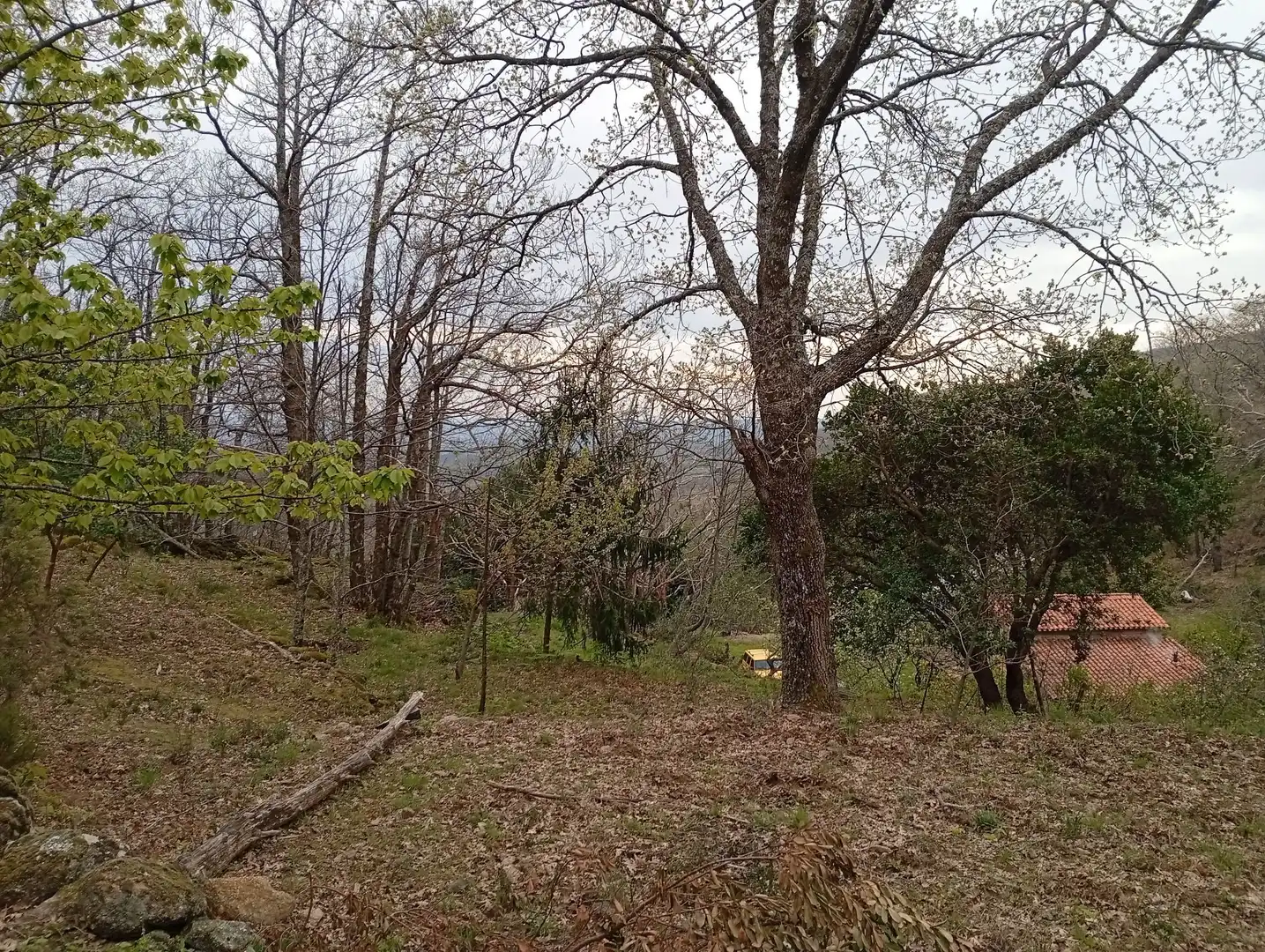 Terreni e lotti in vendita a Valverde de la Vera, imagen 53