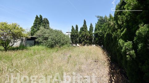 MAGNÍFICA OPORTUNIDAD! TERRENO URBANO Y AMPLIO EN LA PLAYA DE NULES, immagine 3
