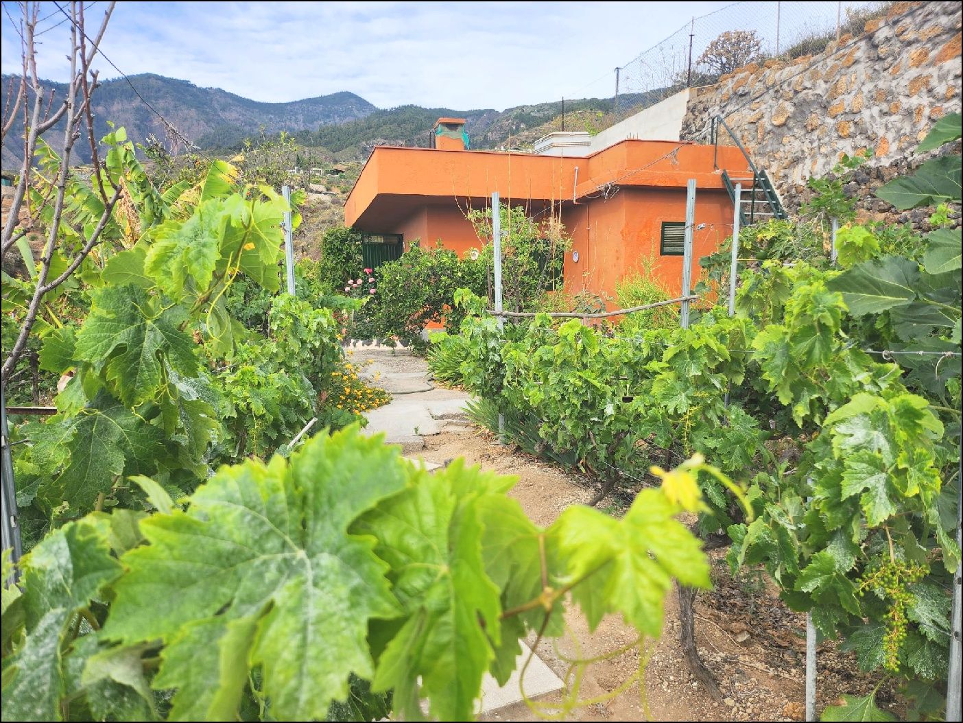 Garden of Country house for sale in Güímar  with Private garden and Furnished