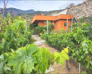 Finca rústica en venda a Calle Morro Blanco, Centro