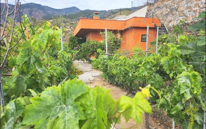 Jardí de Finca rústica en venda en Güímar amb Jardí privat i Moblat