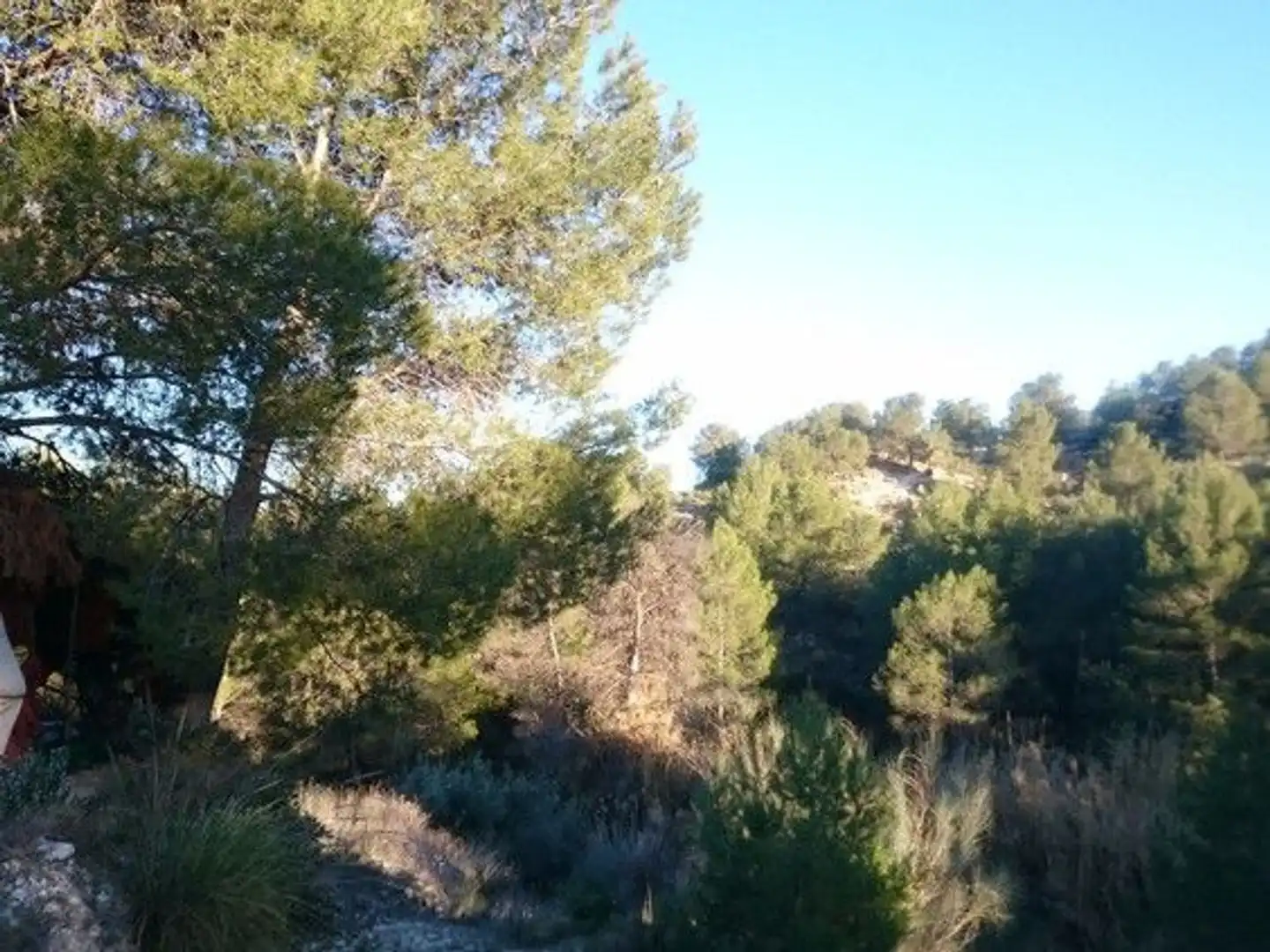 Terreni e lotti in vendita a Moratalla, imagen 14