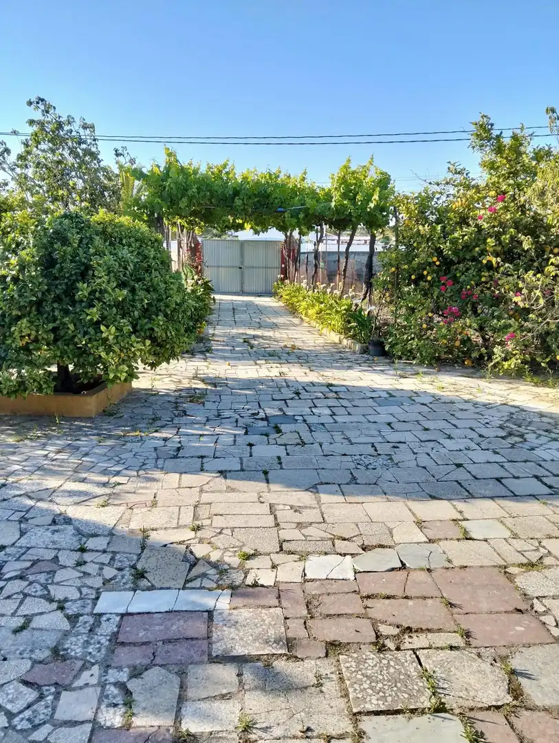Vista exterior de Casa o xalet en venda en Chiclana de la Frontera amb Traster