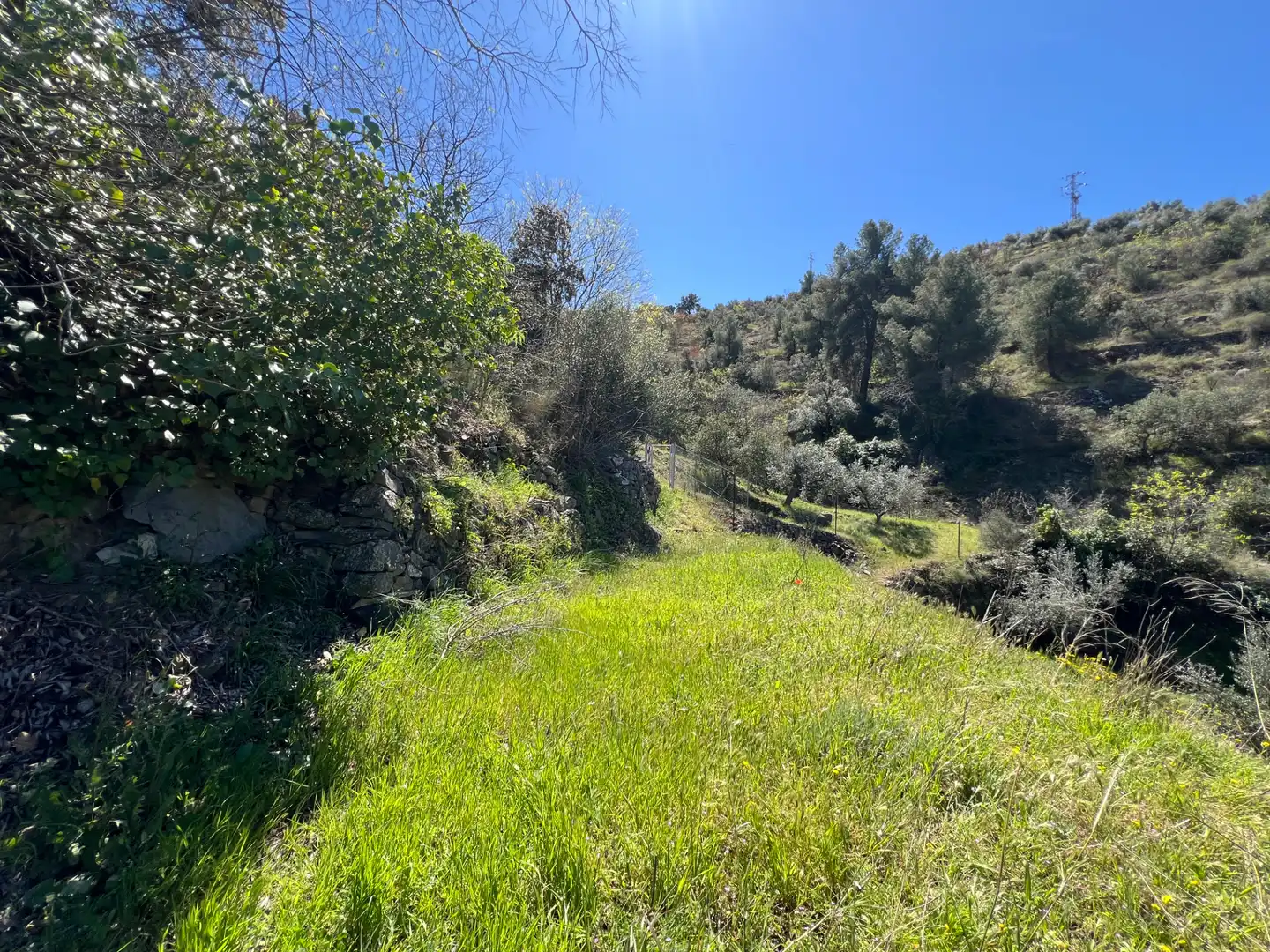 Rural land for sale in Gratallops, imagen 4