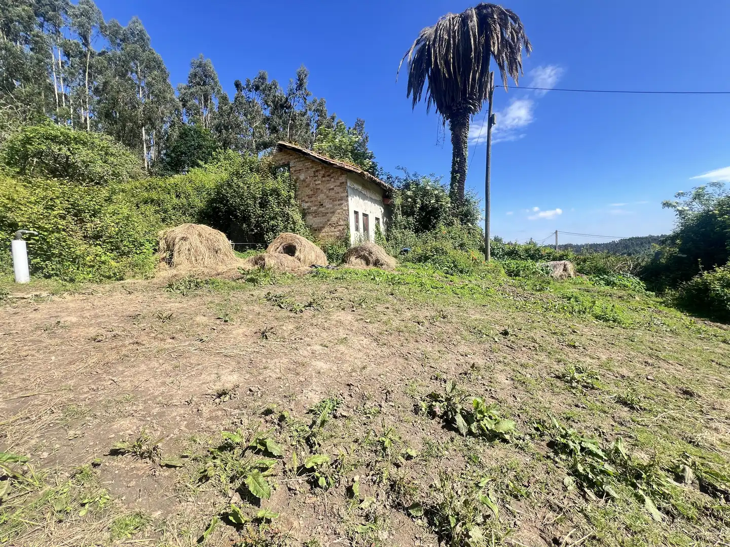 Detached homes for sale in Castrillón