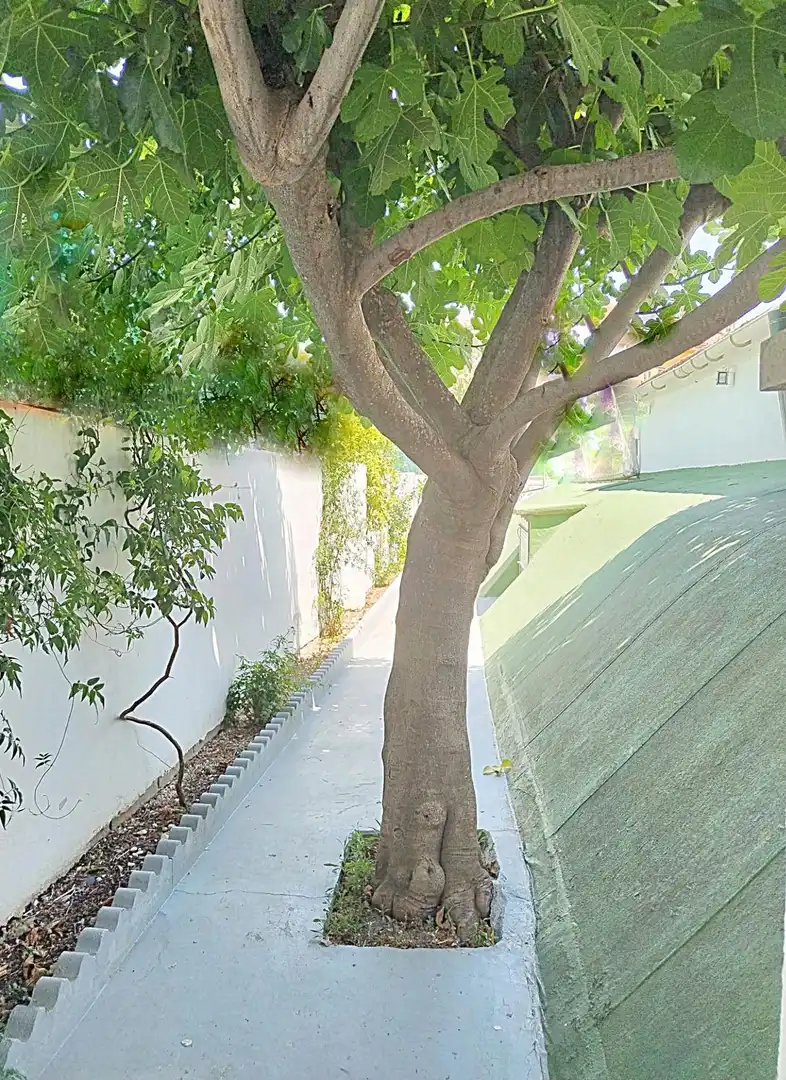 Jardín de Casa o chalet en venta en Arganda del Rey con Aire acondicionado, Calefacción y Jardín privado