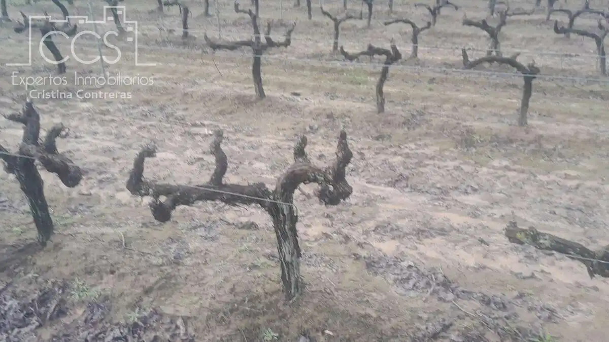 Terreni e lotti in vendita a Almonte ciudad, imagen 7