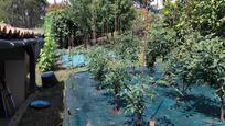 Garden of House or chalet for sale in Ribeira  with Furnished