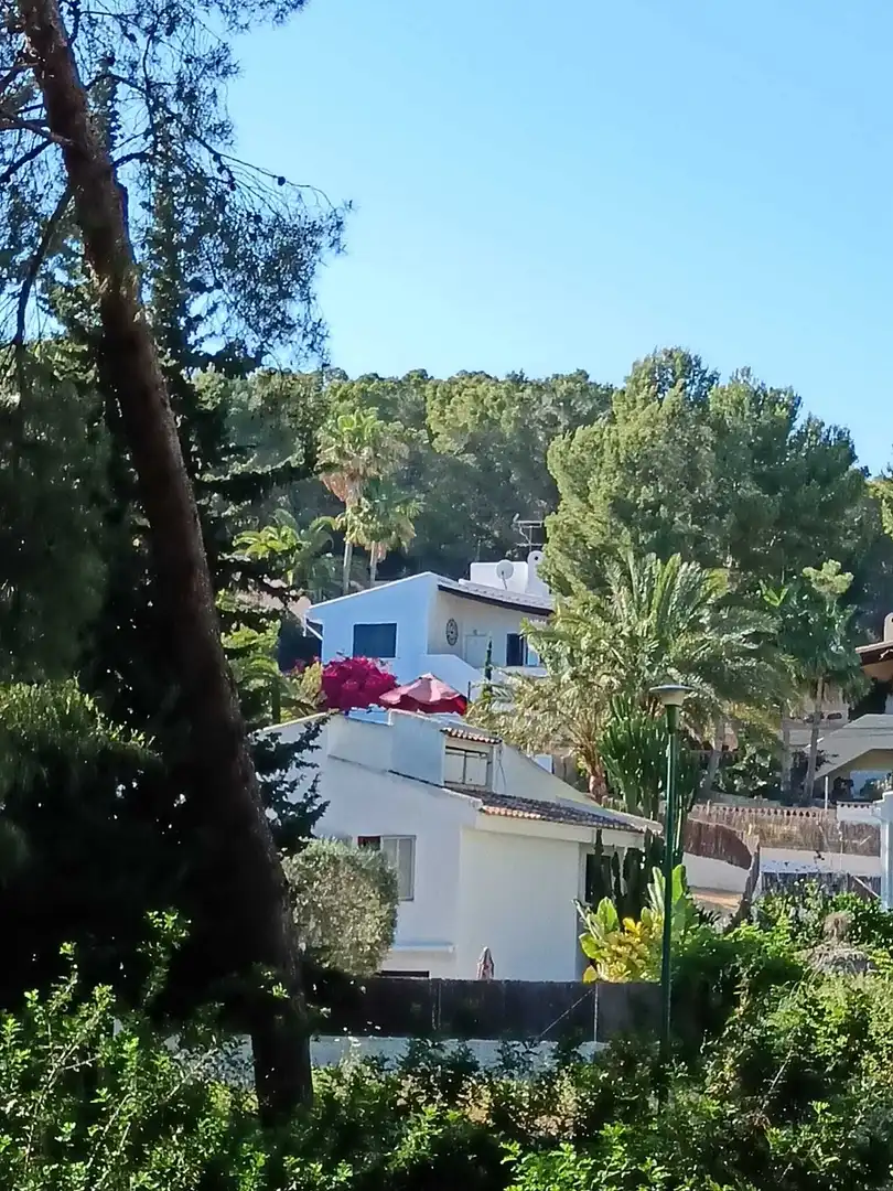 Finca rústica en venta en Costa de la Calma