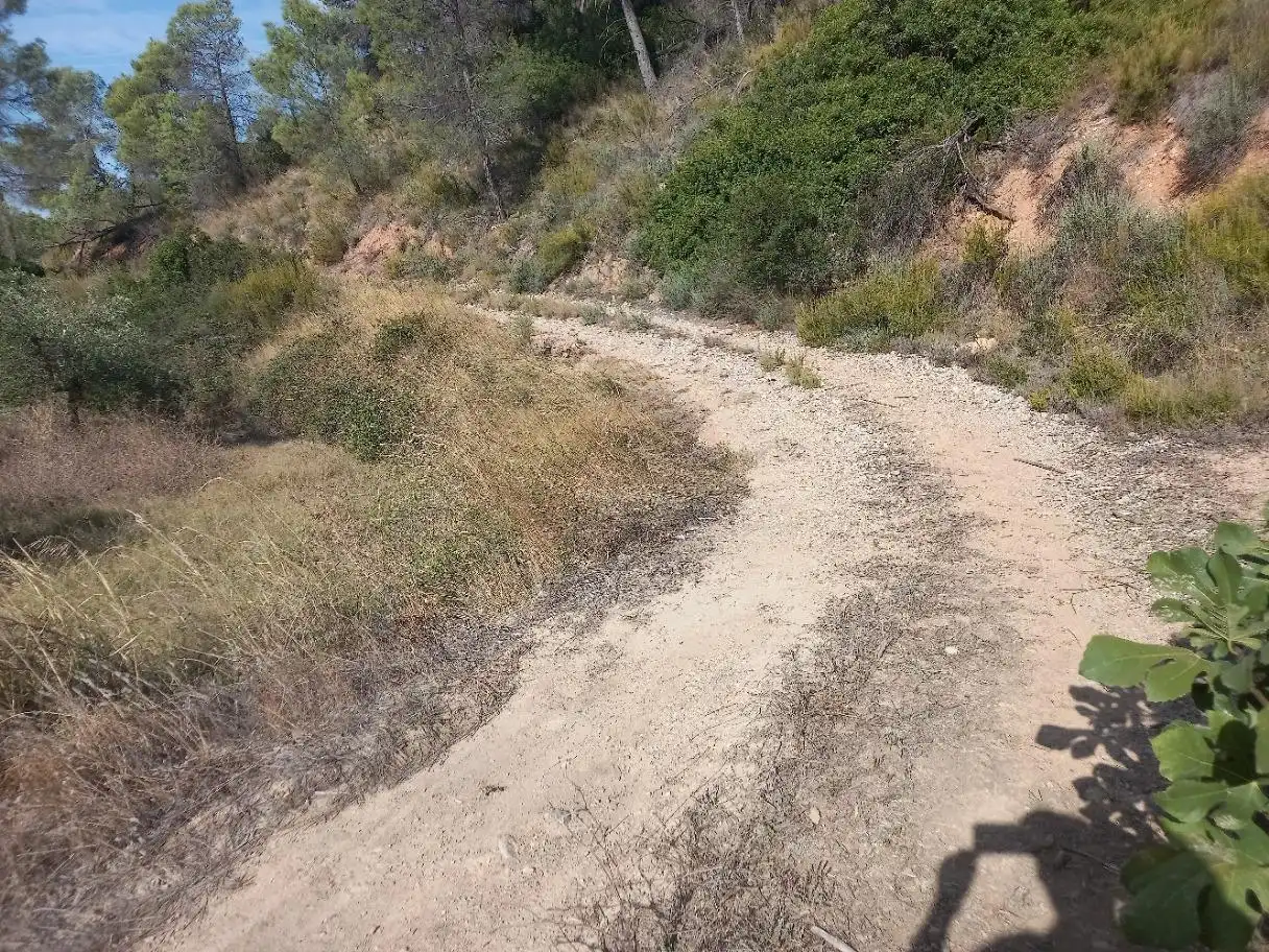 Terreno en venta en La Torre de l'Espanyol