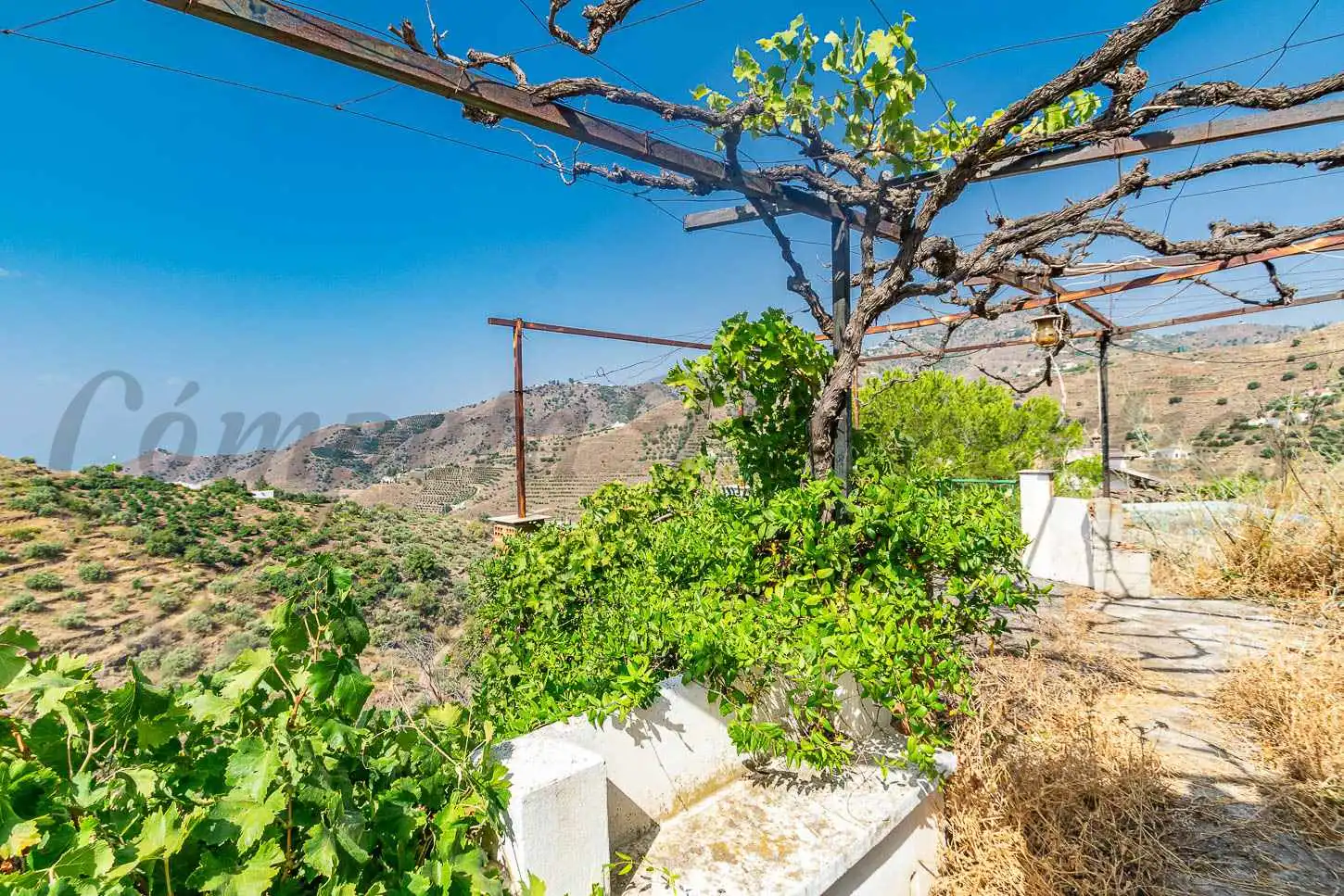 Terrace of Country homes for sale in Torrox  with Private garden, Terrace and Swimming Pool