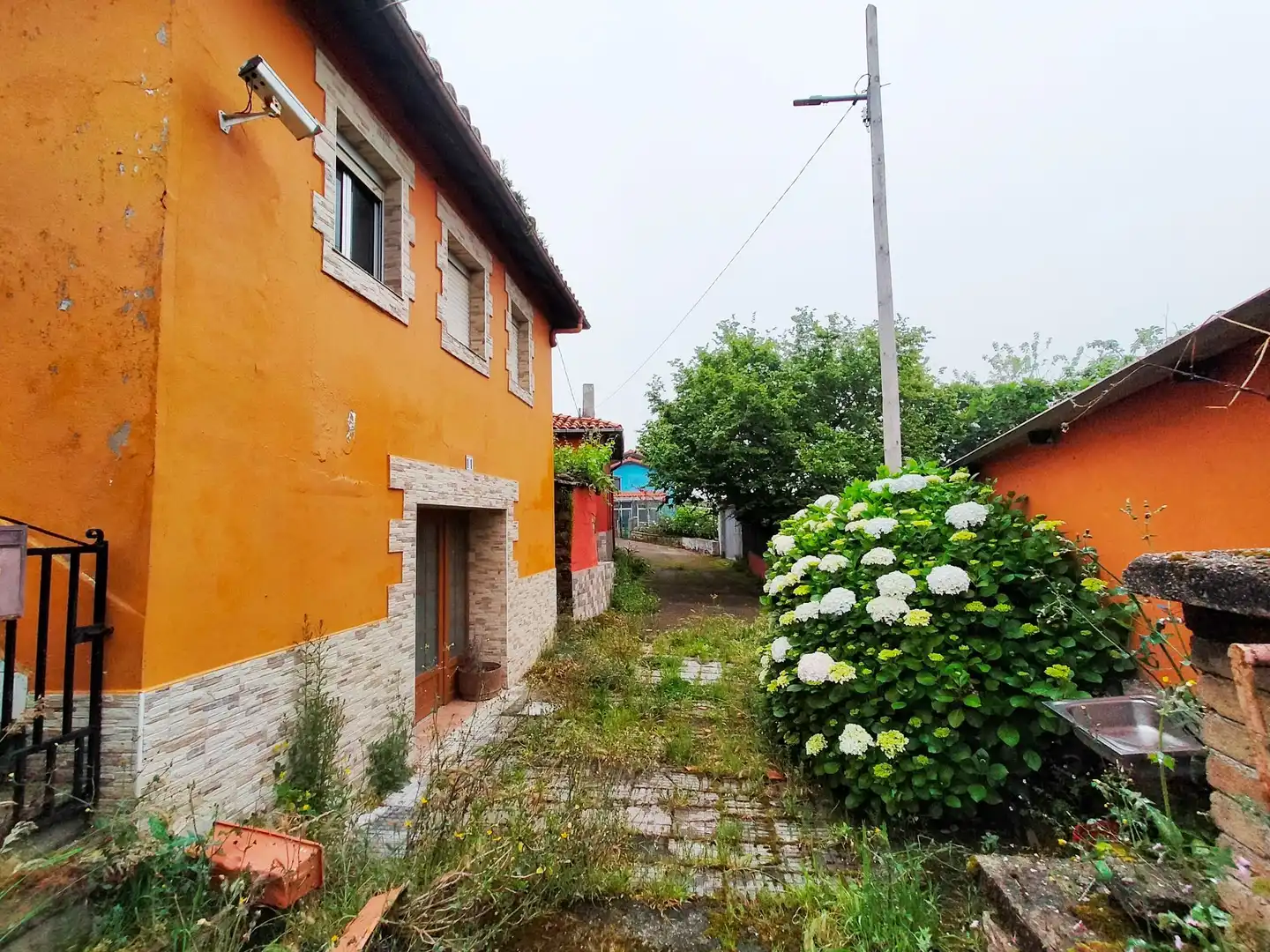 Vista exterior de Finca rústica en venta en Pravia con Jardín privado