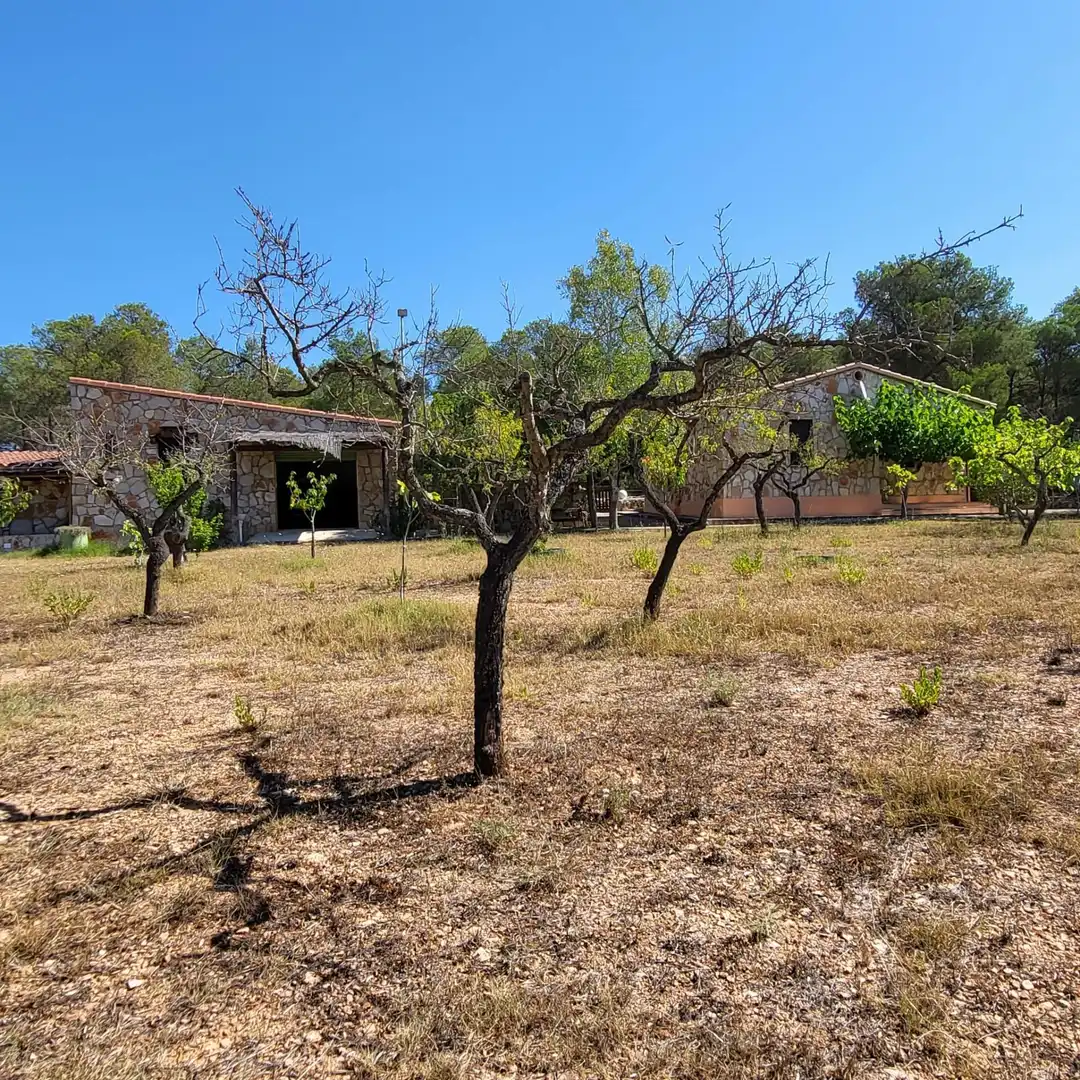 Casa rústica con piscina en venta en El Perelló, imagen 40