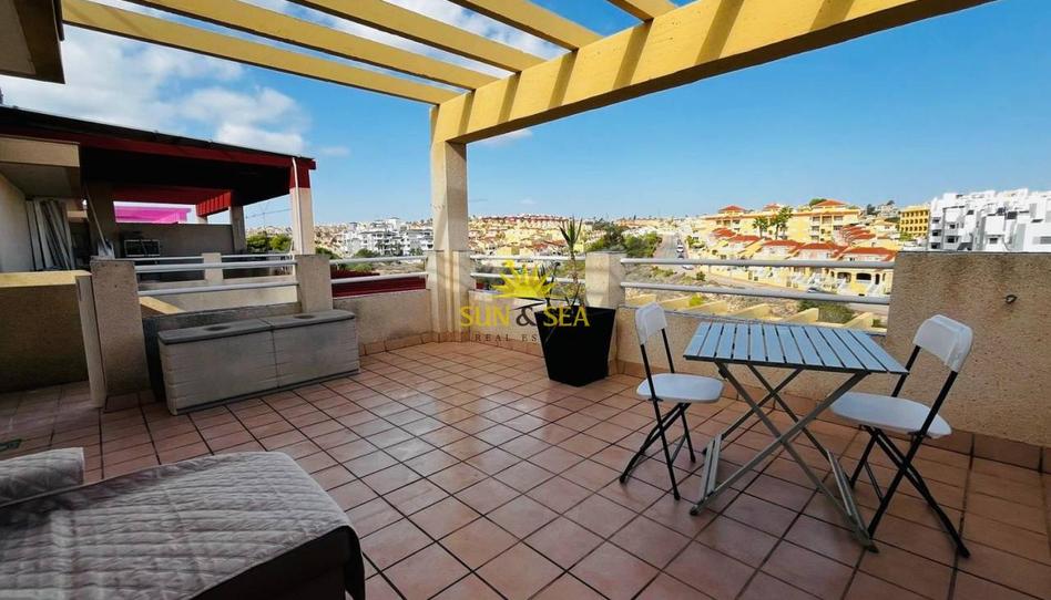 Photo 1 of Apartment to rent in Villamartín - Las Filipinas, Alicante