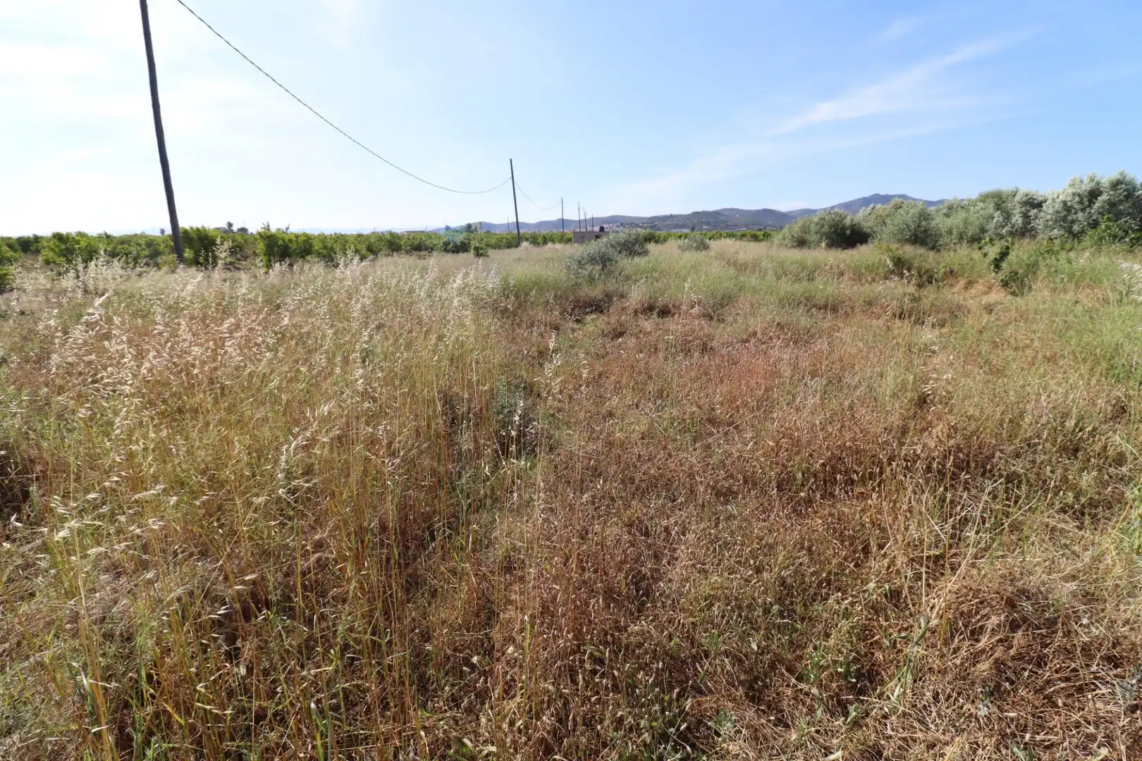 Terreno rústico en venta en Alcanar, imagen 9