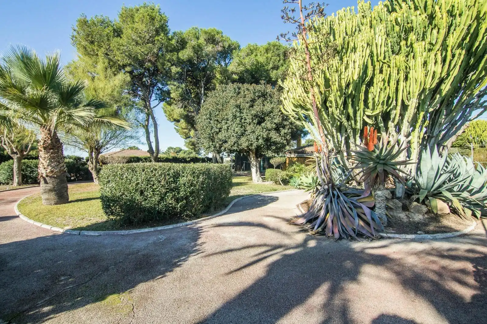 Jardí de Casa o xalet en venda en Elche / Elx amb Terrassa, Traster i Piscina